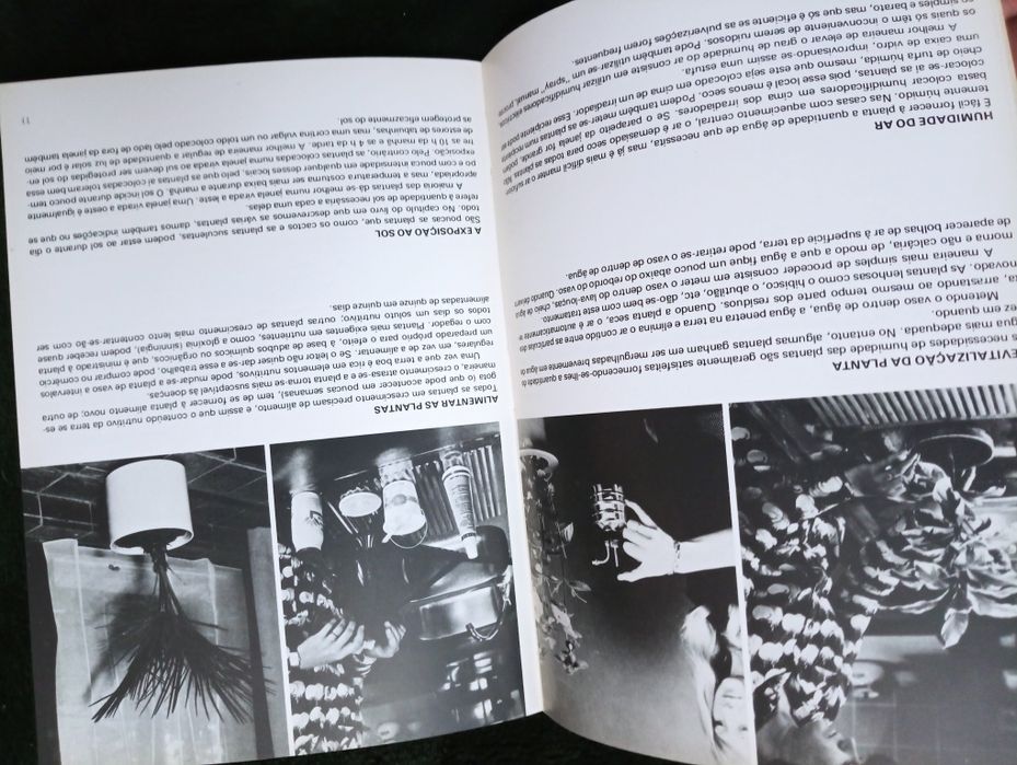 Plantas de interior – Rob Herwig - Editorial Presença - 1974