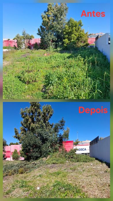 Limpeza de Terrenos e Jardinagem