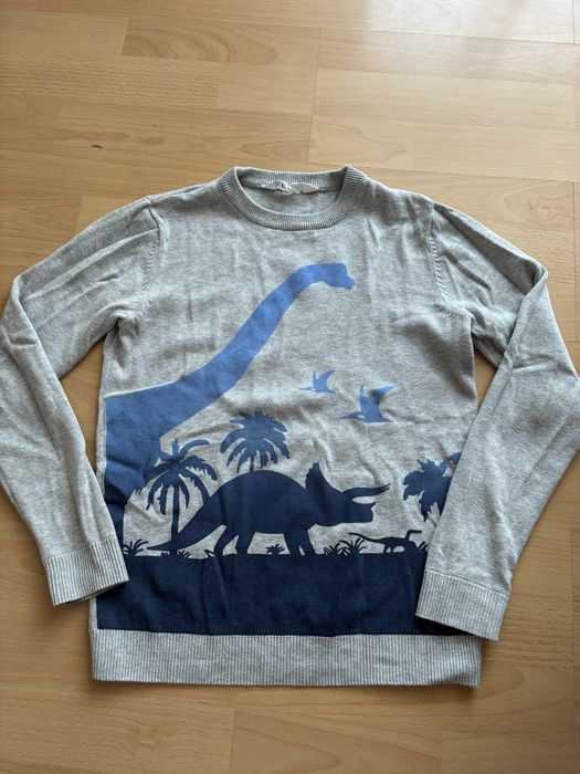 Sweter dinozaury H&M