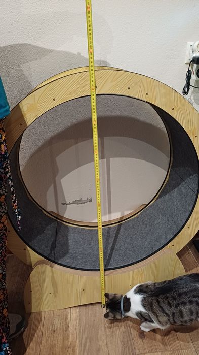 Roda exercícios gato