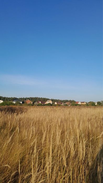 Без Комісіі Продам Ділянку Хотянівка 10 сот - View 2