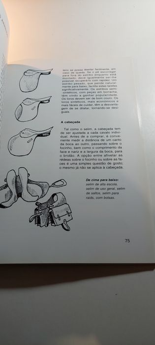 O Cavalo para Equitação - Petra, Wolfgang Hölzel