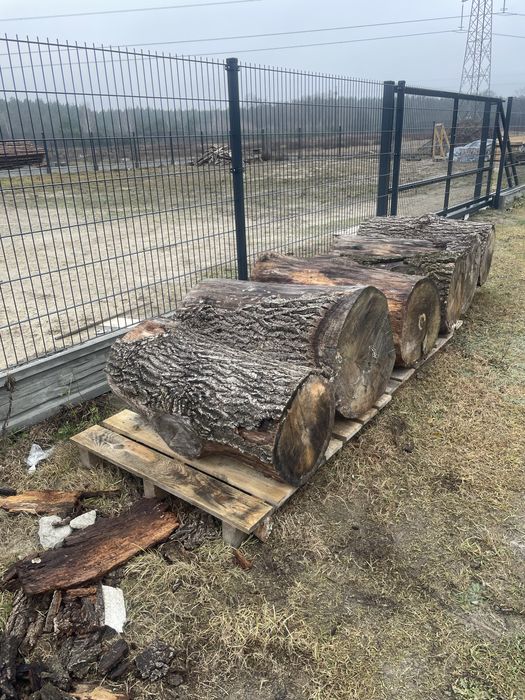 Sprzedam kłody dębowe