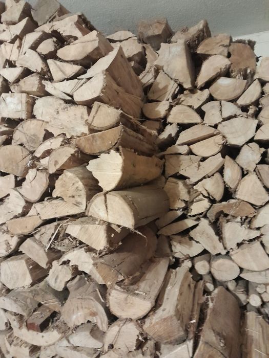 Sacos lenha, lote lenha, pinhas