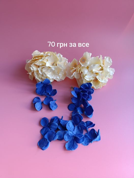 Квіти бутони півонія Ранункулюс пуансетія троянди тюльпан