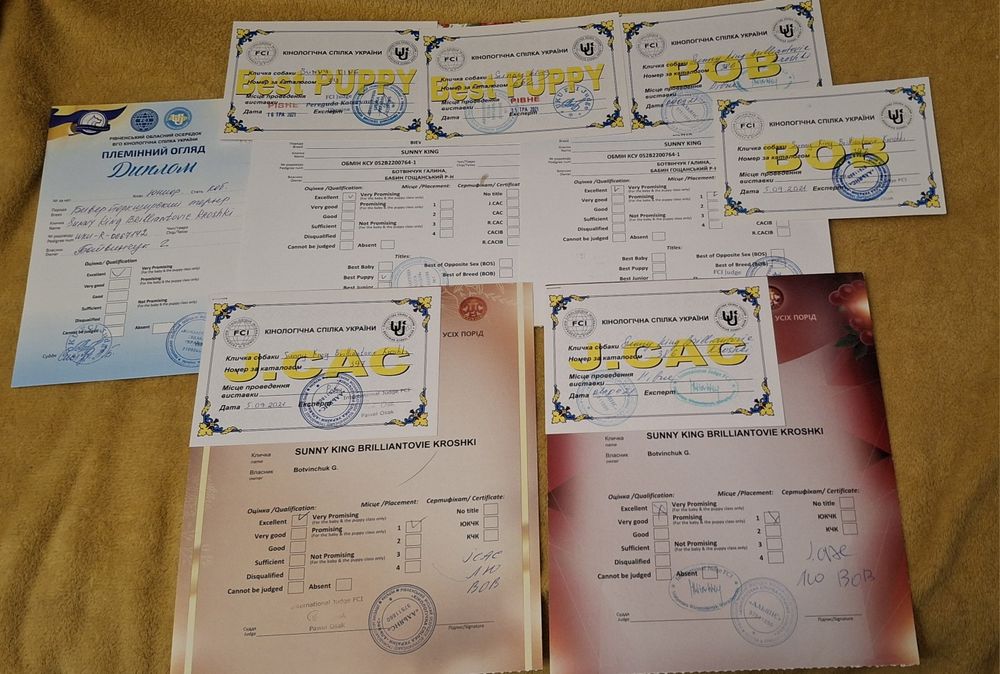 Бівер йорк кабель для вязкі