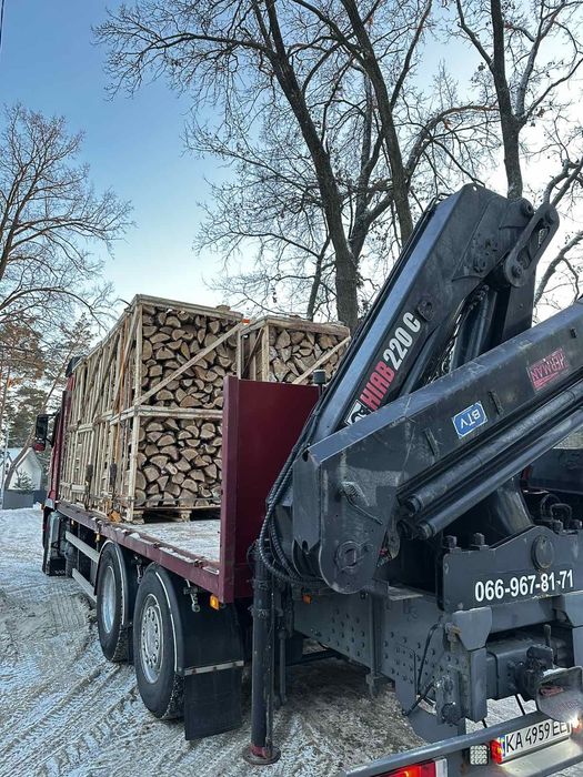 Дрова (дуб/граб/береза/осика)