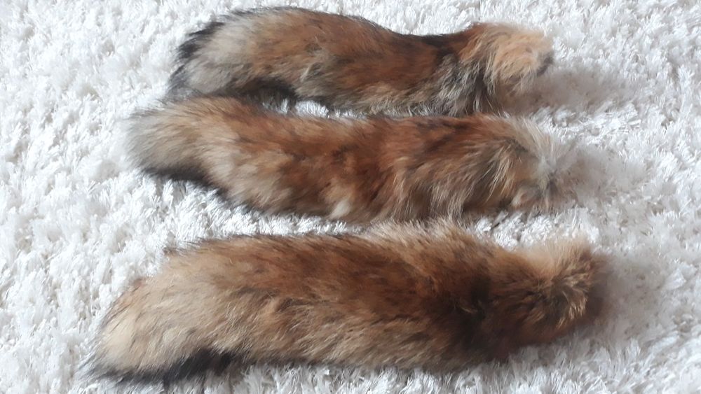 лисячий хвостик