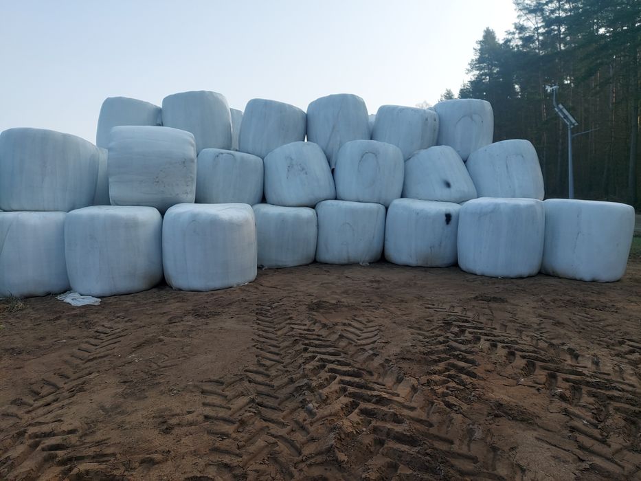 Sprzedam bele sianokiszonka