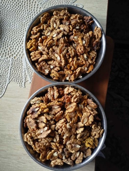 Горіх грецький(бабочка)