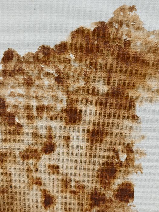 Telas com textura branco e castanho