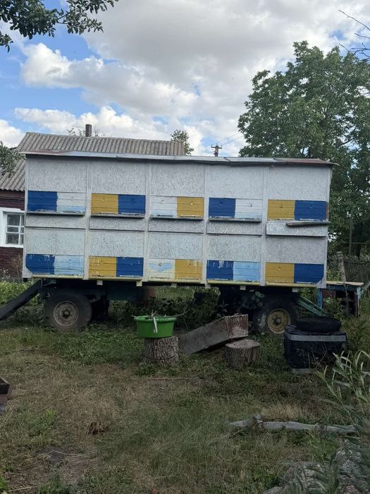 Пасіка бджоли бізнес
