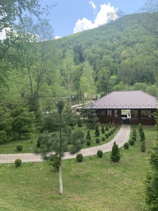 Затишний будинок