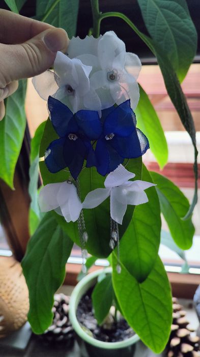 Kolczyki, biało chabrowe