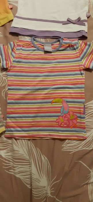 Bluzki COCODRILLO r.92 zestaw body gratis