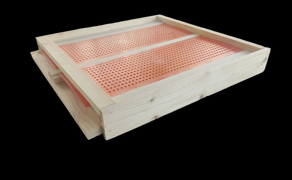 Dennica wielkopolska 10 r z POLAWIACZEM PYLKU ! PROMOCJA !!!