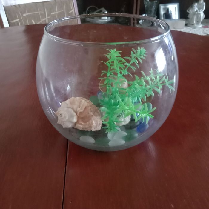 Аквариум оригинальной формы с наполнением