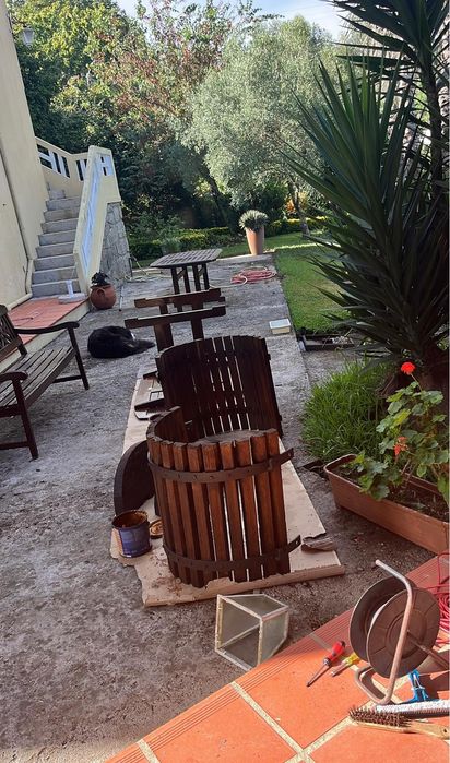 Serviço manutenção renovação e limpeza jardim