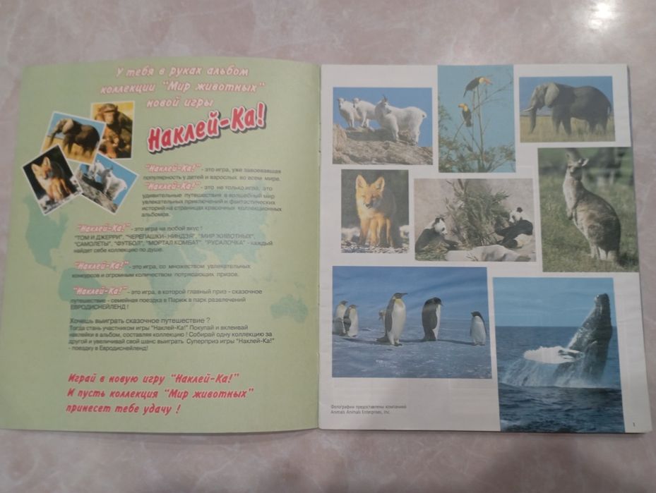 Мир животных panini