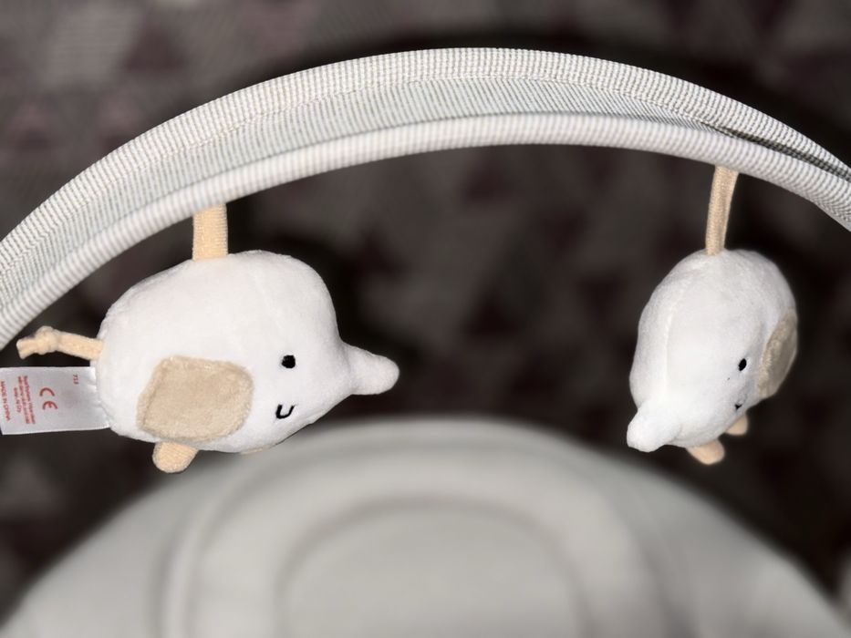 Заколисуючий центр