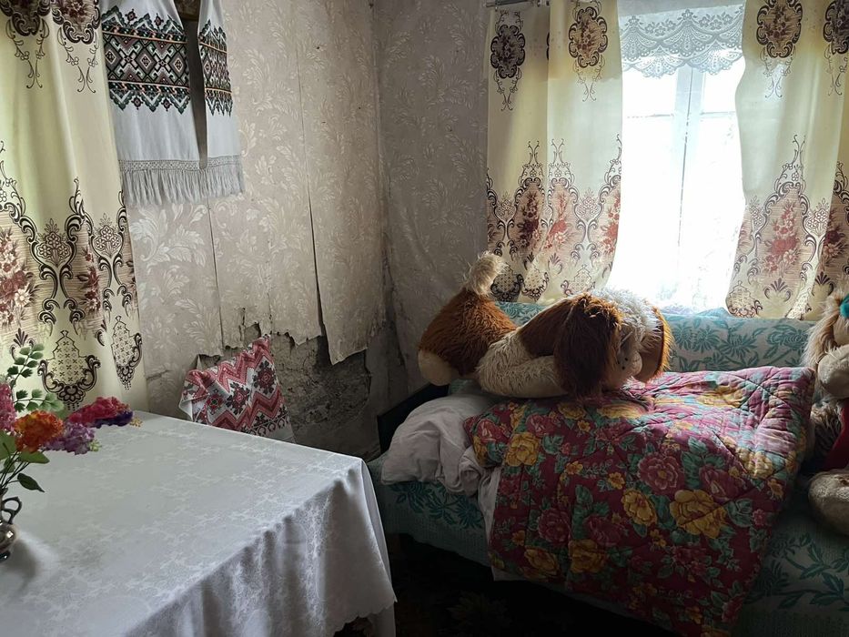 Продам невеликий будинок з Копанкою за м.Горохів в13 км!