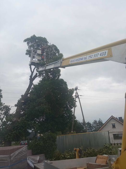 Podnośnik Koszowy Pracę wysokościowe  Wycinka drzew Czyszczenie rynien