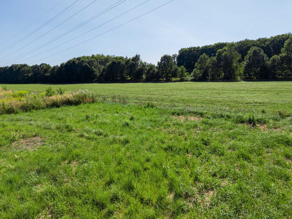 Działka budowlana 800 m² | Widok na las | Utwardzony dojazd | Orzesze, ul. Drużynowa