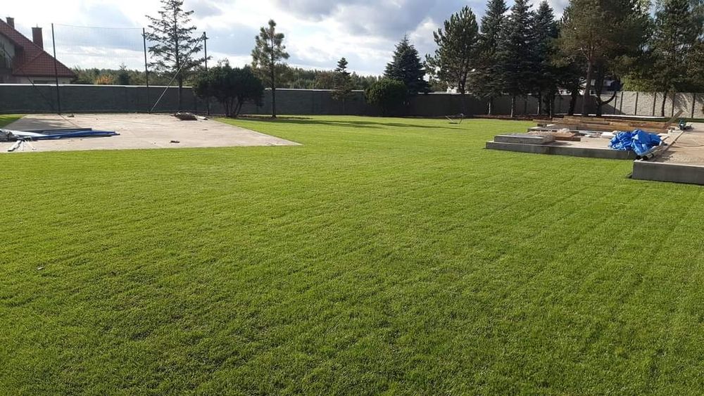 System nawadniający nawodnienie odwodnienia trawnik ogrody RainBird