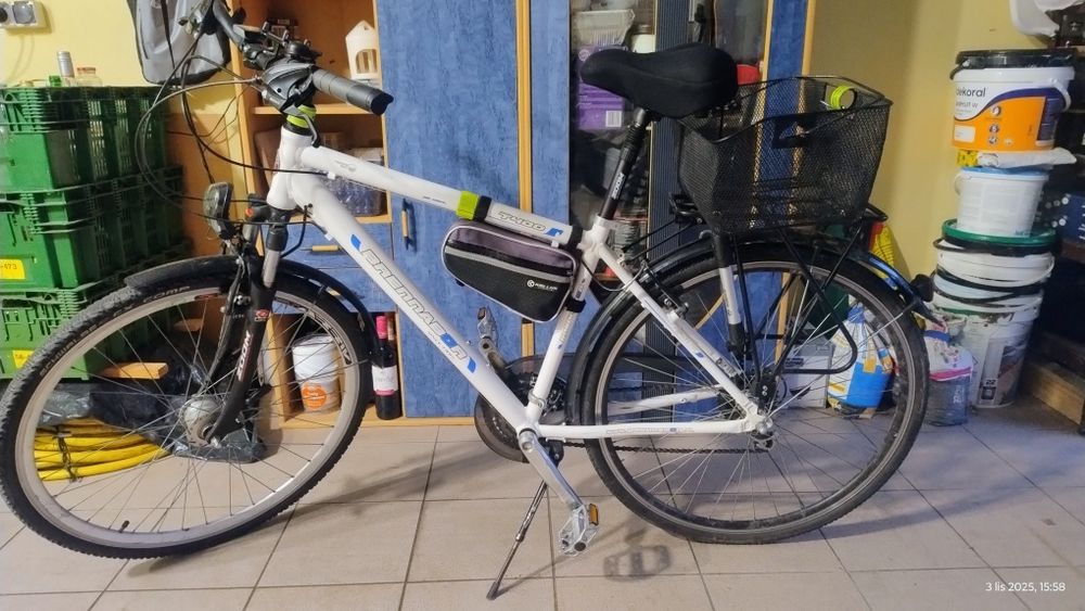 Rower treningowy Brenabor