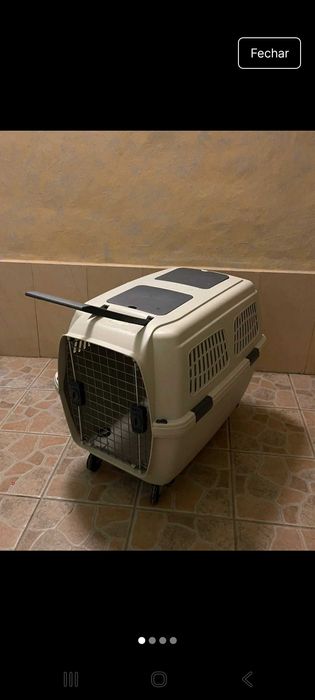 Caixa para transportar cães, com rodas removíveis