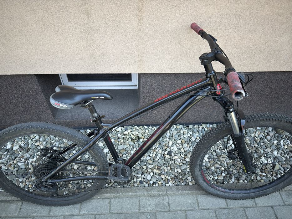 Dartmoor sparrow intro 27.5