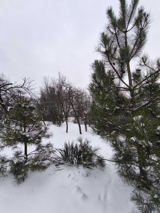 Оренда Дома Днепр отдых за городом. Посуточно. Баня, ЧАН. Сапы, каяки