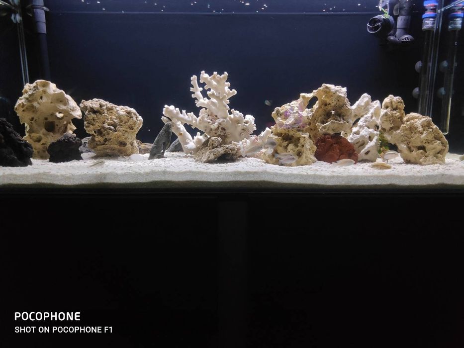 Rocha e areia Sansibar