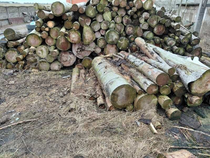 Drewno, wałki, świerk