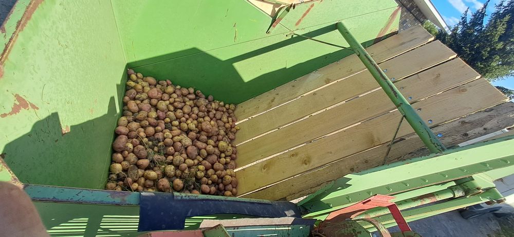 Продаж Картопляного комбайна Hassia