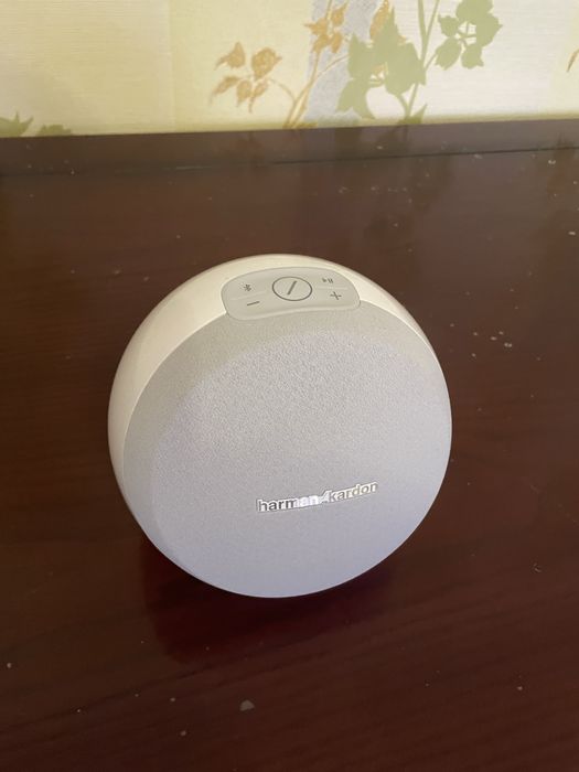 Harman Kardon omni10