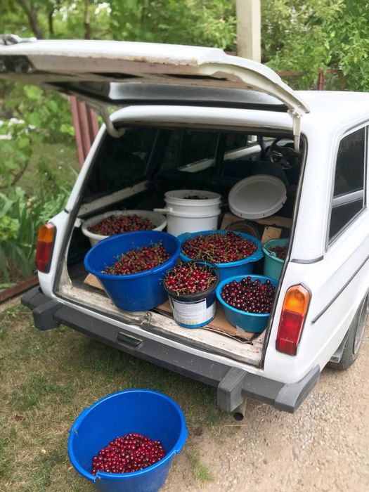 Ваз 2102 спорт прект