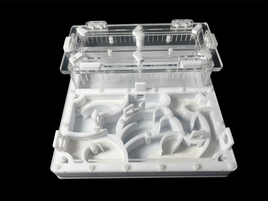 Купити мурашину ферму 20х20 см за 1100 грн – модерн для мурашок