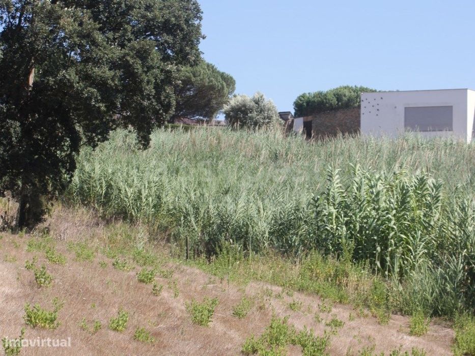 Terreno para construção em Casal do Rei - Rio Maior / Caldas da Rainha