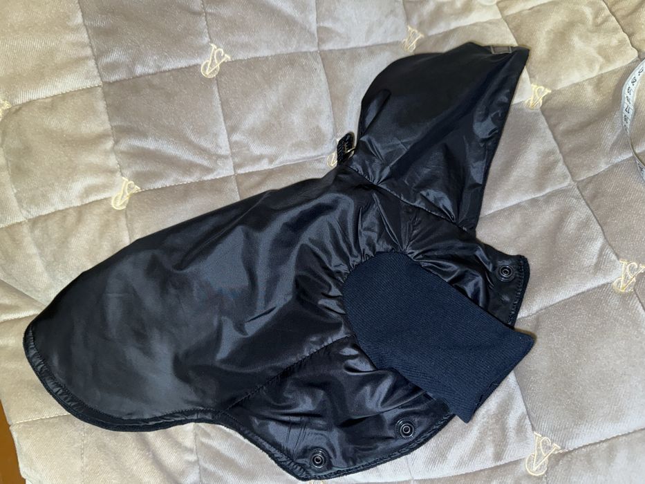 Одяг для тварин собак