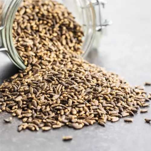 Акція!!! Насіння розторопші \ Семена расторопши, 1 кг