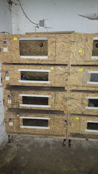 !!! Продається  ферма для ведення птахо-бізнесу