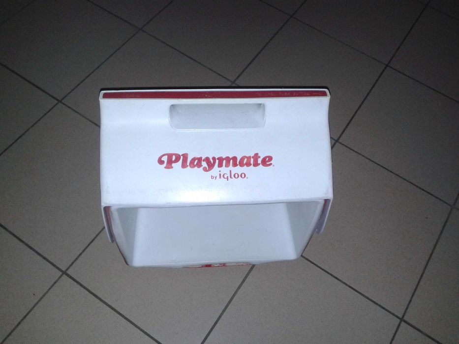 Lodówka turystyczna przenośna Igloo Playmate Elite