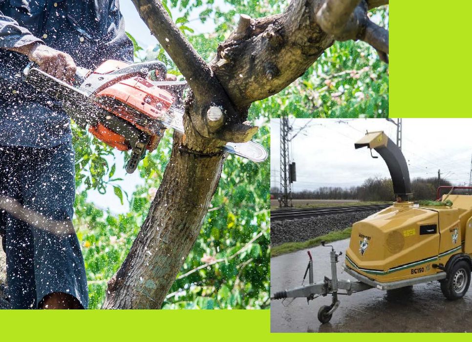 Wycinki drzew Przycinka gałęzi mielenie Czyszczenie terenu Rębak Płock