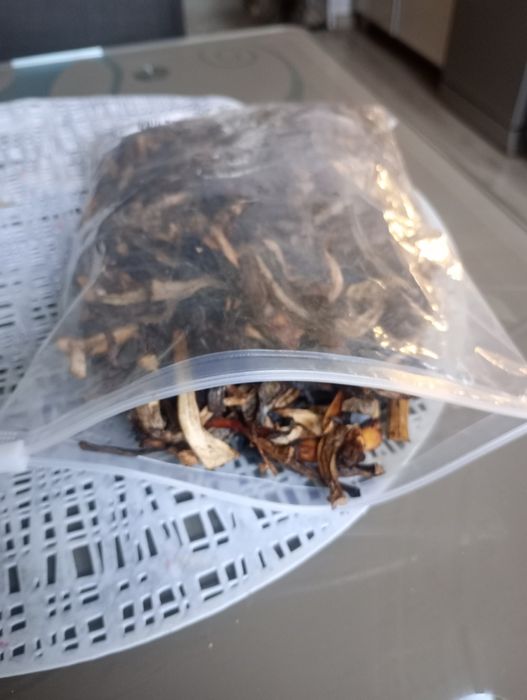 Grzyby świeże suszone mrożone