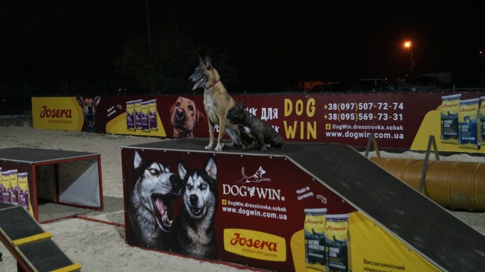 Клуб DogWin Площадка закрытая оборудованая Киев Дрессировка собак