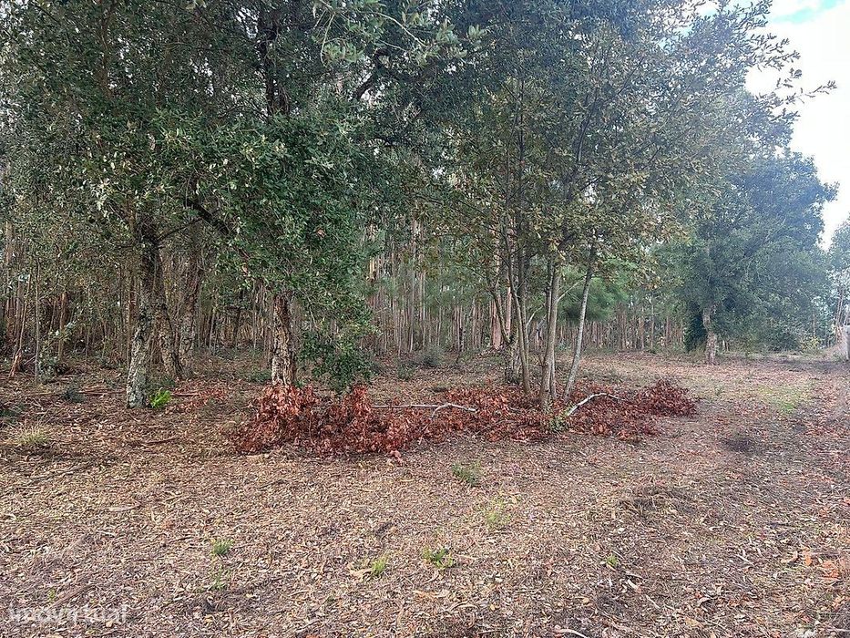 Terreno  para venda
