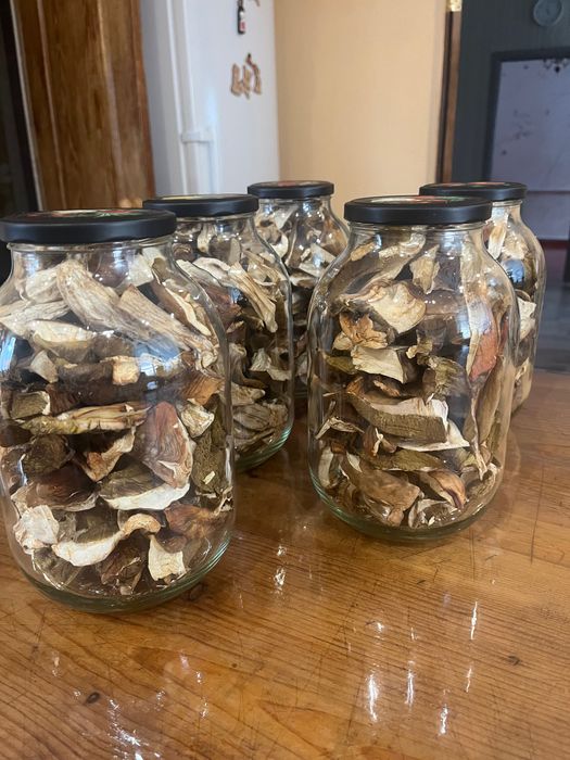 Білі гриби з Чернігівських лісів