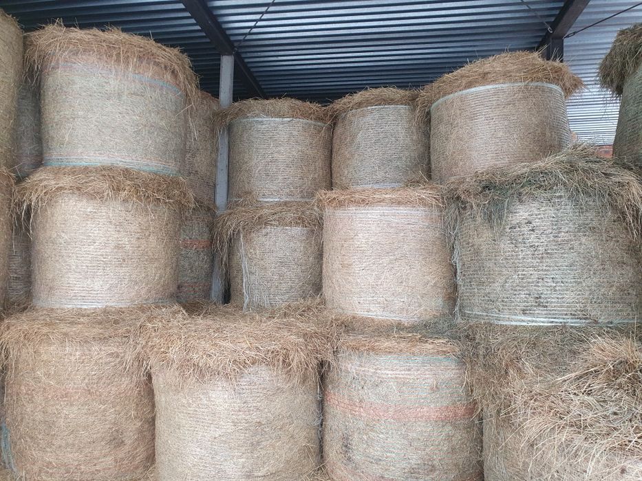 Siano ze stodoły i sianokiszonka