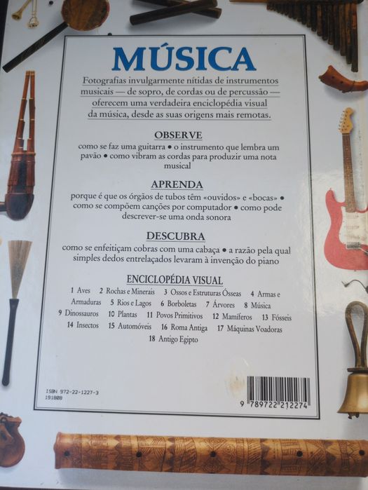 Música e a Evolução dos Instrumentos Musicais